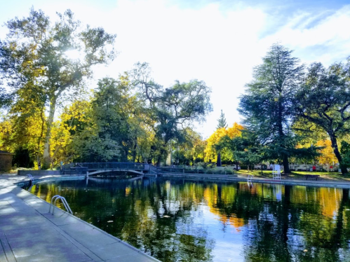 A serene park scene with a pond, surrounded by trees in autumn colors and a small bridge in the background.