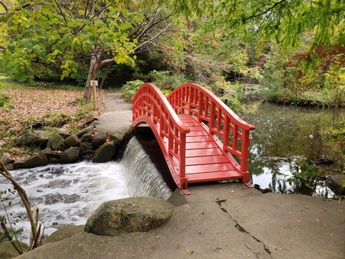 A red wooden bridge arches over a small waterfall, surrounded by autumn foliage and a tranquil pond.