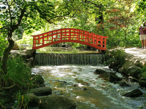 A red bridge arches over a small waterfall, surrounded by lush greenery and a peaceful stream.