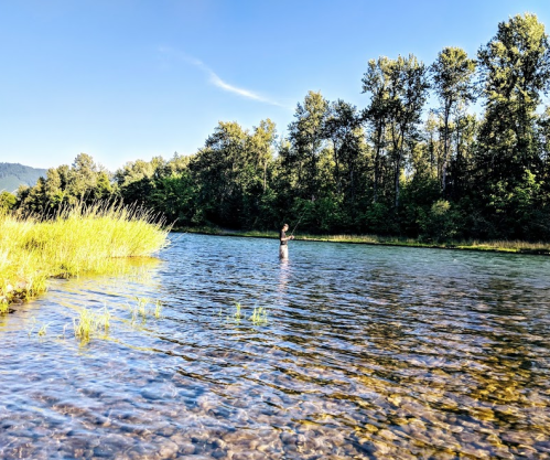A person stands in a clear river surrounded by lush greenery and trees under a blue sky.