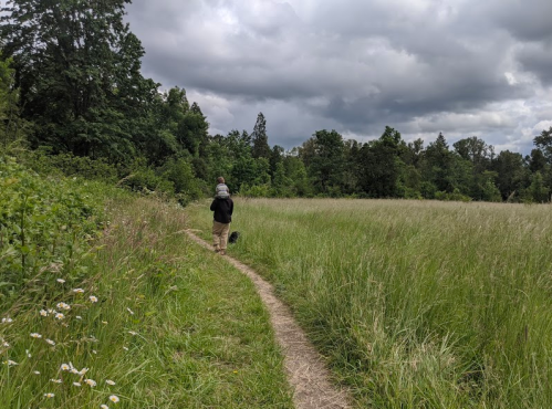A person walks along a grassy path with a child on their back and a dog beside them, under a cloudy sky.