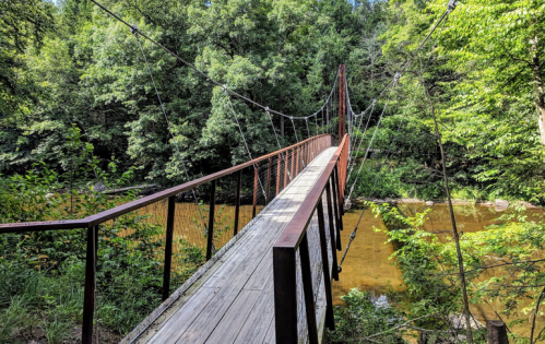 A suspension bridge spans a river, surrounded by lush green trees and foliage.