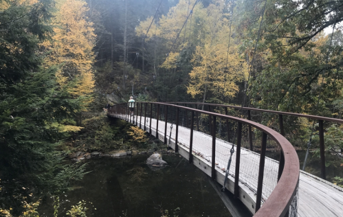 A person walks across a curved suspension bridge surrounded by autumn foliage and a calm body of water.
