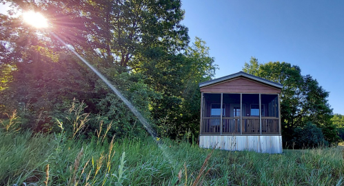 A small wooden cabin surrounded by tall grass and trees, with sunlight streaming through the foliage.
