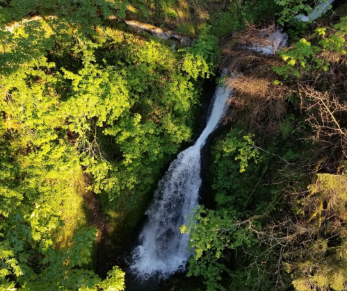 A cascading waterfall surrounded by lush green foliage and sunlight filtering through the trees.