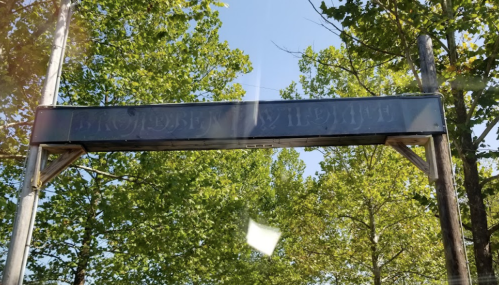 A weathered sign on a wooden post surrounded by green trees, partially obscured by sunlight.