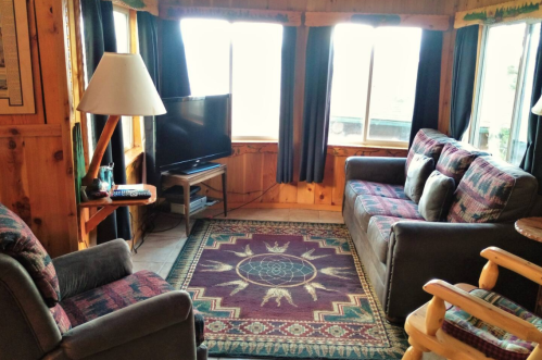 Cozy living room with a TV, two sofas, a chair, and a patterned rug, surrounded by large windows and wooden walls.