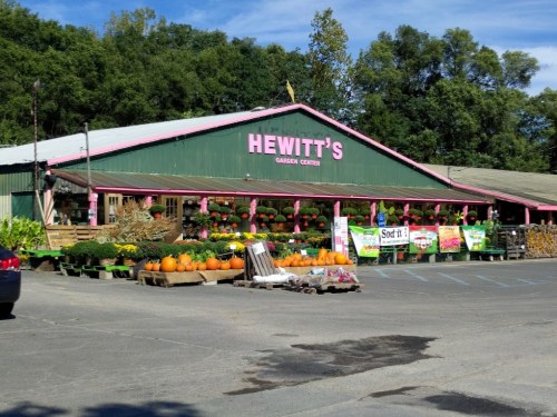 A garden center with a green exterior and pink signage, featuring pumpkins and plants outside.