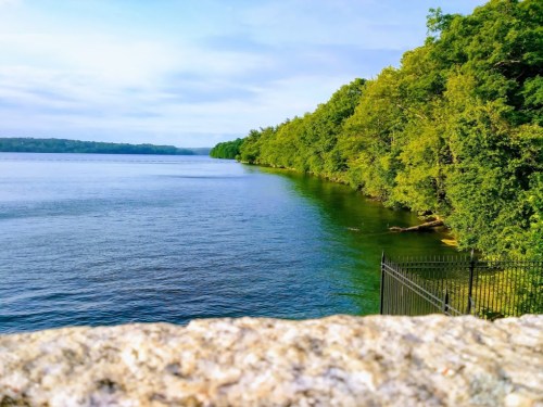 A serene river scene with lush green trees lining the shore under a clear blue sky.