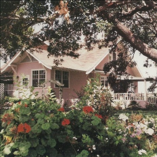 A charming pink house surrounded by vibrant flowers and lush greenery under a large tree.