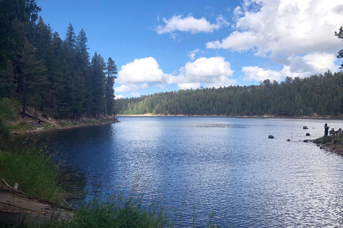 A serene lake surrounded by tall pine trees under a partly cloudy sky, with people fishing along the shore.