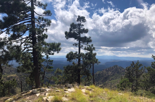 A scenic view of mountains and trees under a partly cloudy sky, with rocky terrain in the foreground.