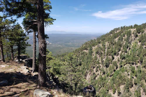 A scenic view of a mountainous landscape with trees, valleys, and distant peaks under a clear blue sky.