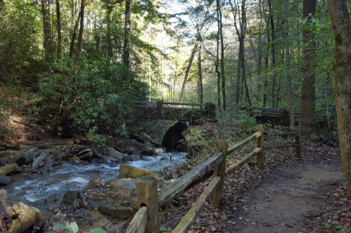 A serene forest scene with a small stream, wooden bridge, and a dirt path surrounded by lush greenery.