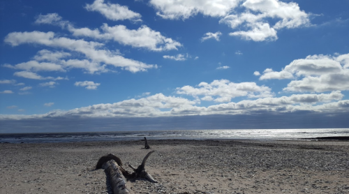 A serene beach scene with driftwood, gentle waves, and a bright blue sky dotted with fluffy clouds.