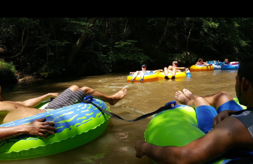A group of people relaxing on colorful inner tubes in a river surrounded by trees on a sunny day.