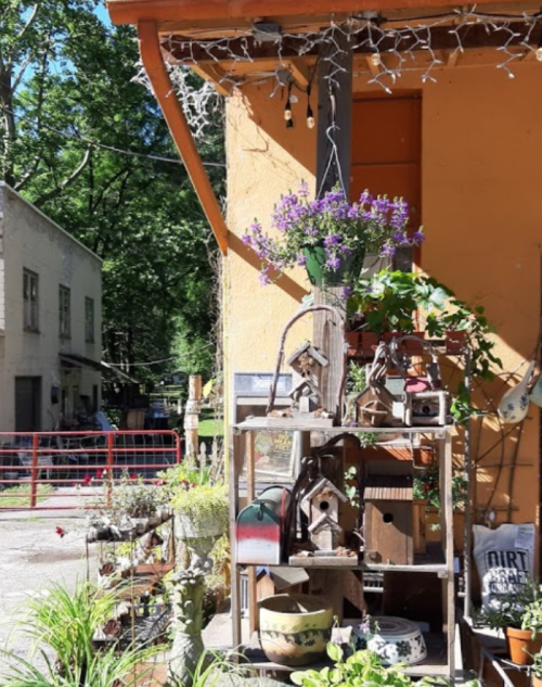 A colorful display of potted plants and birdhouses outside a rustic building, surrounded by greenery and decorative items.