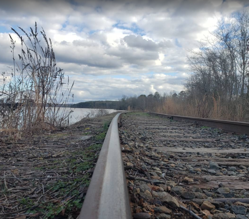 A close-up view of a railway track beside a river, surrounded by tall grass and trees under a cloudy sky.