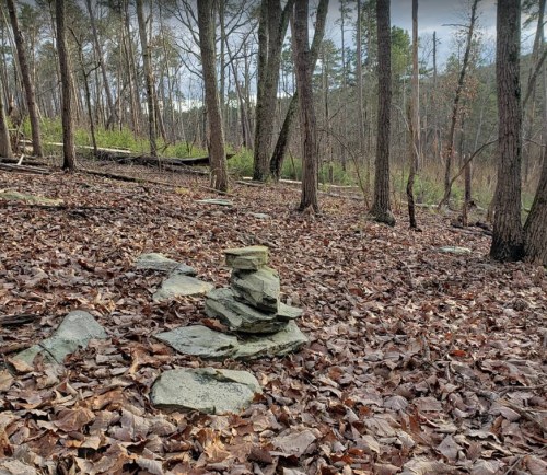 A small stack of stones on a forest floor covered with fallen leaves, surrounded by trees in a wooded area.