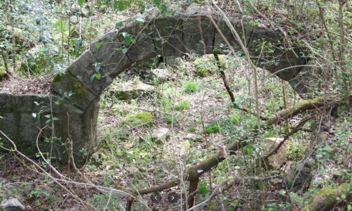 An old stone arch partially covered by greenery in a forested area, surrounded by moss and fallen branches.
