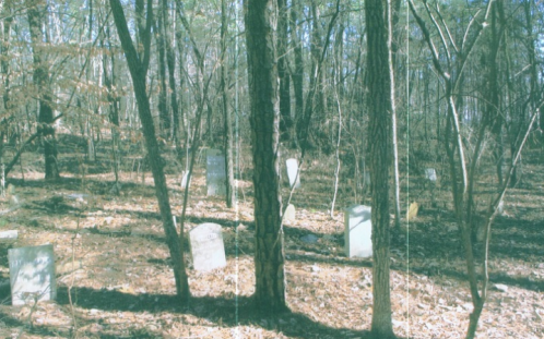 A serene forest scene with scattered gravestones among trees and fallen leaves, creating a tranquil, reflective atmosphere.