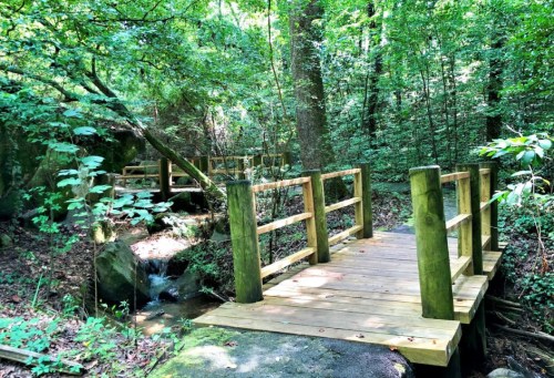 A wooden bridge crosses a small stream in a lush, green forest surrounded by trees and rocks.