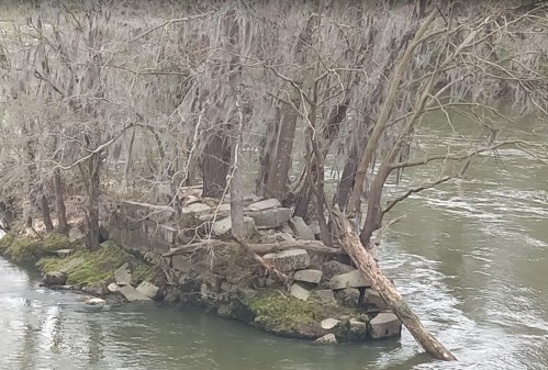 A small island with rocks and trees in a river, surrounded by calm water and mossy banks.
