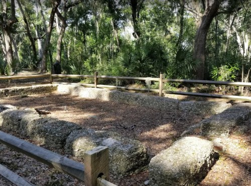 Ruins of a stone foundation surrounded by trees and vegetation, enclosed by a wooden fence in a forested area.