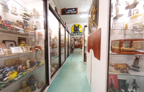 A hallway lined with display cases filled with various cat-themed memorabilia and collectibles.