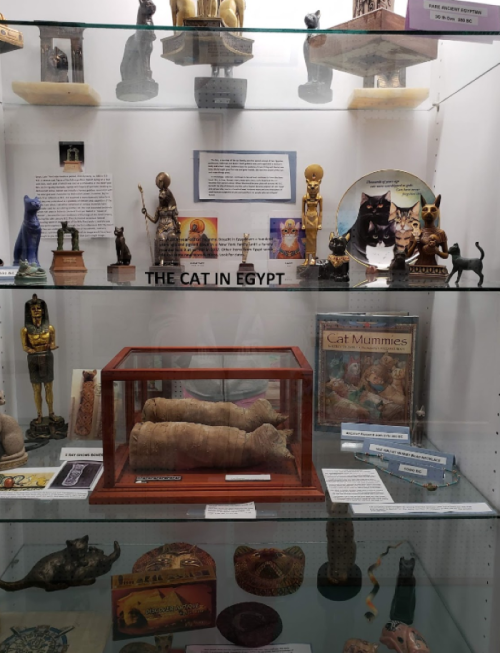 Display case featuring artifacts related to cats in ancient Egypt, including statues, mummies, and informational plaques.