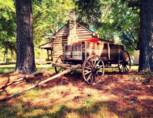 A rustic wooden wagon sits beside a log cabin, surrounded by tall trees and pine needles on the ground.