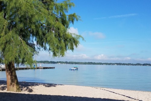 A serene lakeside view with a sandy beach, a tree, and a small boat on calm water under a clear blue sky.