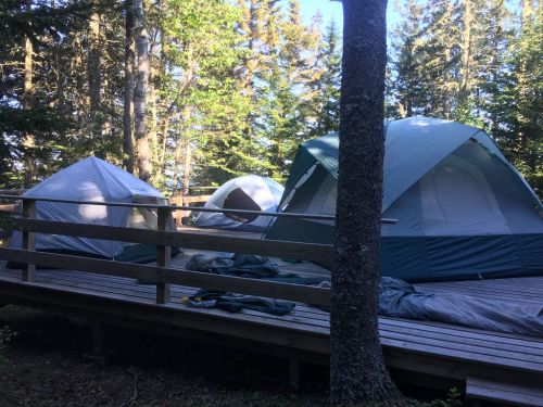 Two large tents set up on a wooden deck surrounded by trees in a forested area.