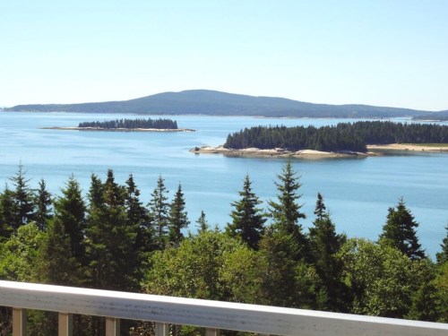A serene view of islands and pine trees by a calm blue sea under a clear sky.