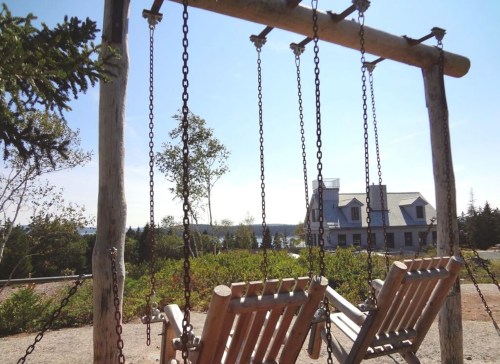 Two wooden swings hang from a rustic frame, overlooking a scenic landscape with trees and a distant building.