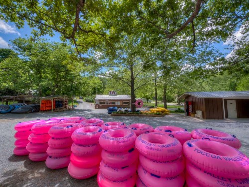 A stack of bright pink inner tubes in front of a tree-lined area with a small building and blue sky in the background.