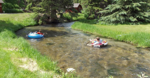 Two children float on inner tubes in a shallow stream surrounded by green grass and trees.