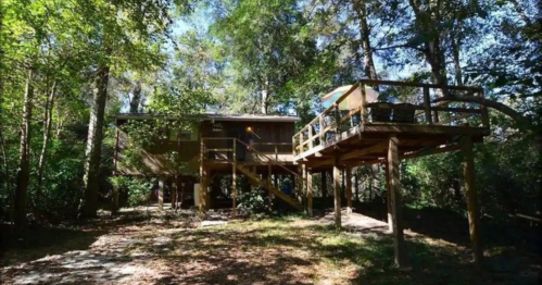 A wooden cabin elevated on stilts, surrounded by lush green trees and a small pathway leading up to it.