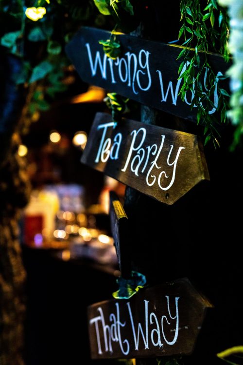 Wooden signs with whimsical text point in different directions: "Wrong Way," "Tea Party," and "That Way," surrounded by greenery.