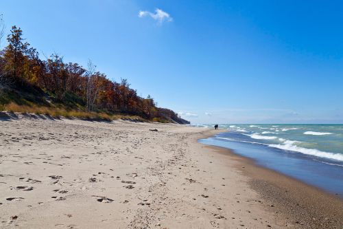 A sandy beach with gentle waves, surrounded by trees in autumn colors under a clear blue sky.