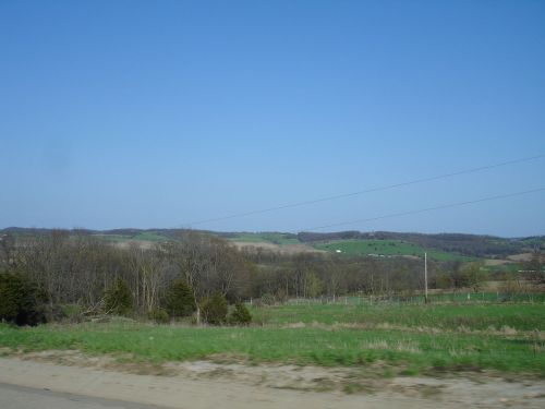 A scenic view of rolling green hills under a clear blue sky, with sparse trees and a distant power line.