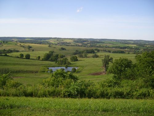 A scenic view of rolling green hills with a small pond surrounded by trees under a clear blue sky.