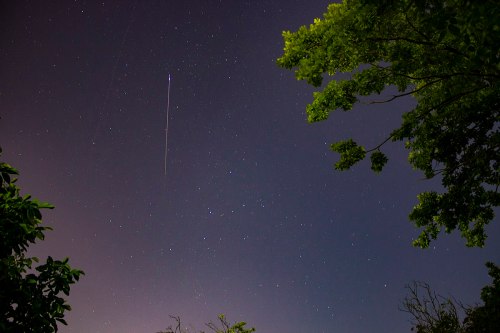 A night sky filled with stars, featuring a bright streak of light and tree branches in the foreground.