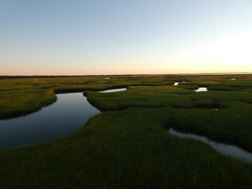 Lush green marshland with winding waterways under a clear sky at sunset.