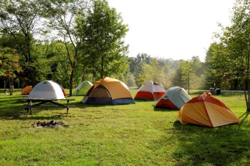 A campsite with several colorful tents set up on green grass, surrounded by trees and a clear sky.