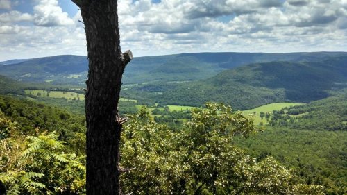A scenic view of rolling green hills and valleys under a partly cloudy sky, framed by trees in the foreground.