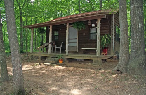 A rustic wooden cabin surrounded by trees, featuring a porch with plants and a welcoming entrance.