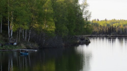 A serene river scene with lush green trees lining the bank and calm water reflecting the landscape.