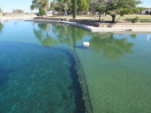 A clear body of water with visible underwater features and trees reflecting on the surface.