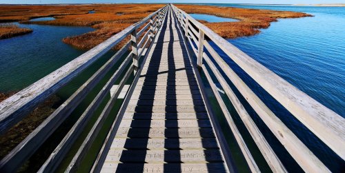 A wooden boardwalk stretches over calm water, surrounded by golden marshland under a clear blue sky.